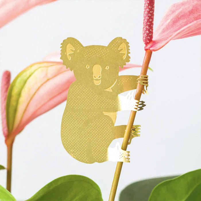 Animal pour les plantes Koala