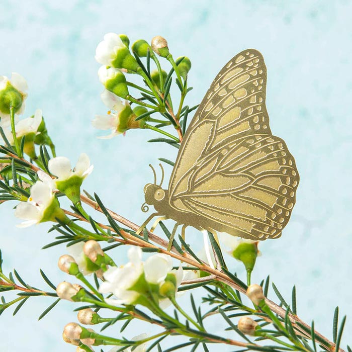 Animal pour Plantes Papillon