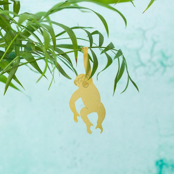 Animal pour les plantes Chimpanzé