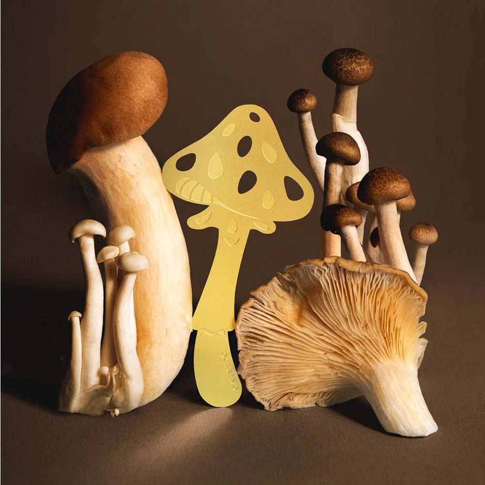Marque-page Champignon Magique