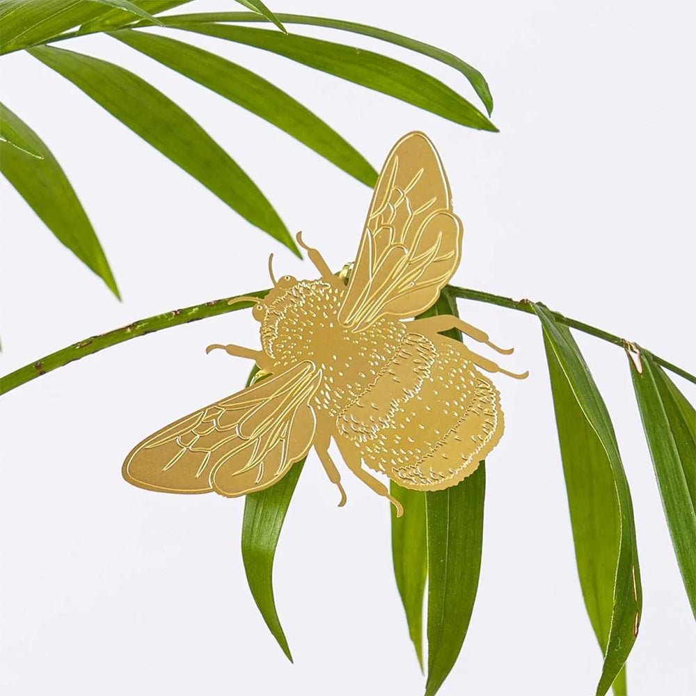 Animal pour les plantes Rainette arboricole
