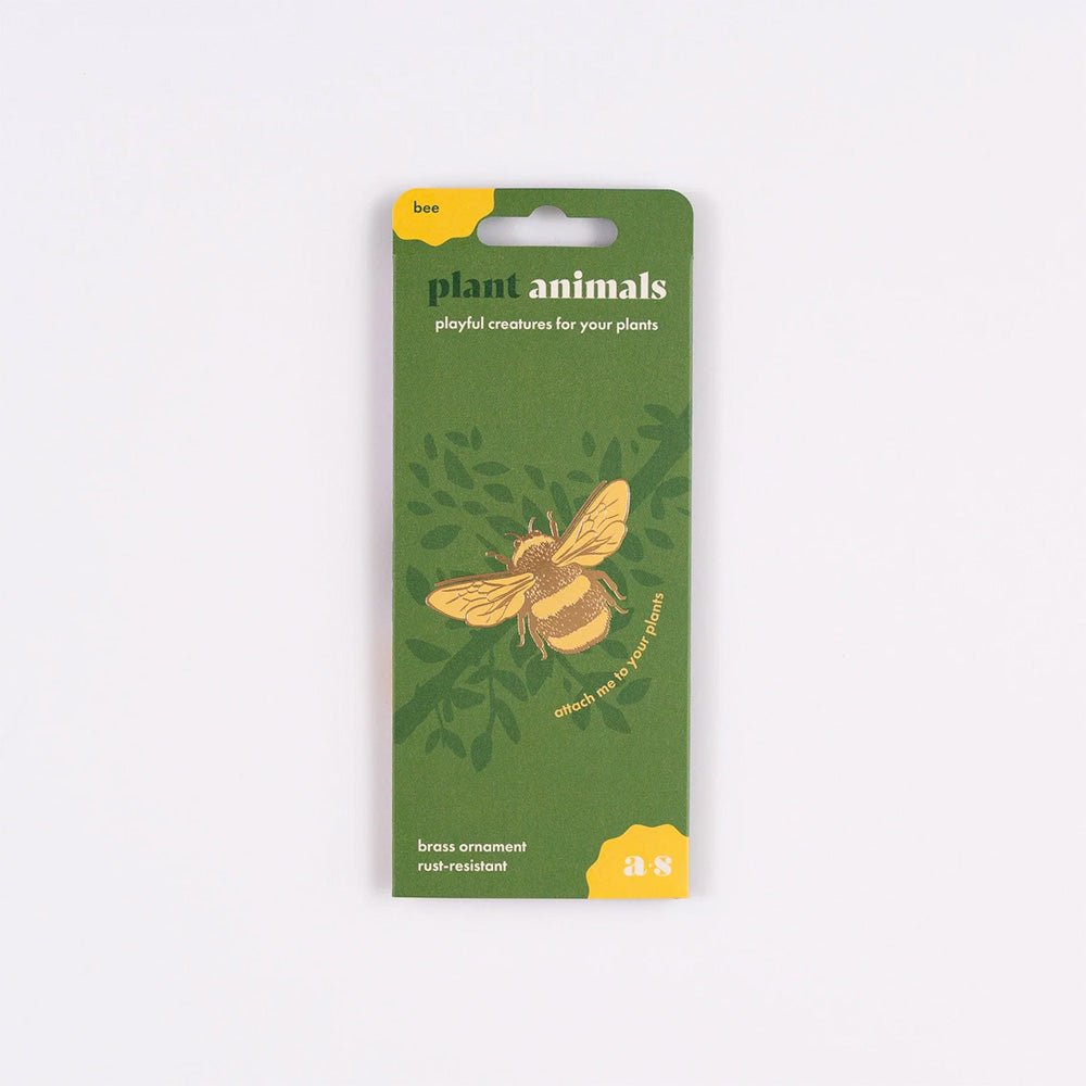Animal pour les plantes Rainette arboricole