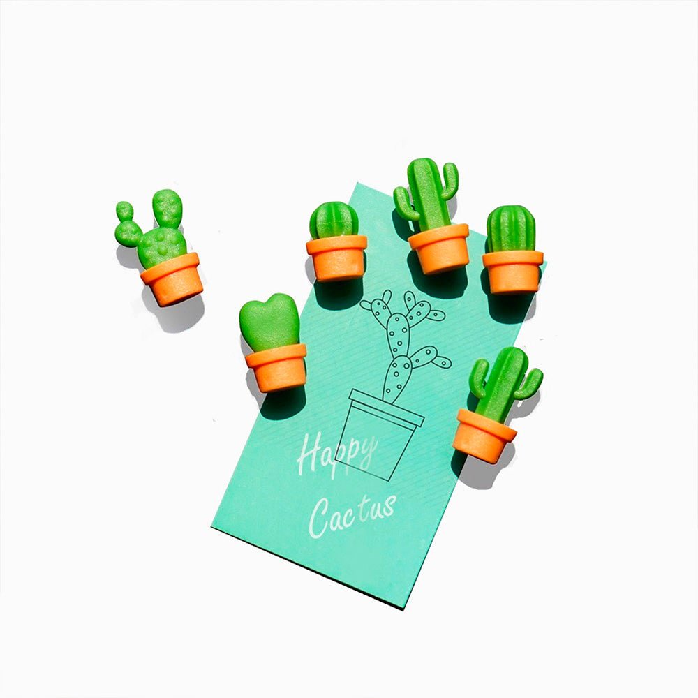 Imanes Mini Cactus