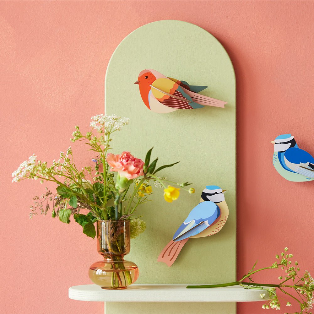Garden Bird Robins