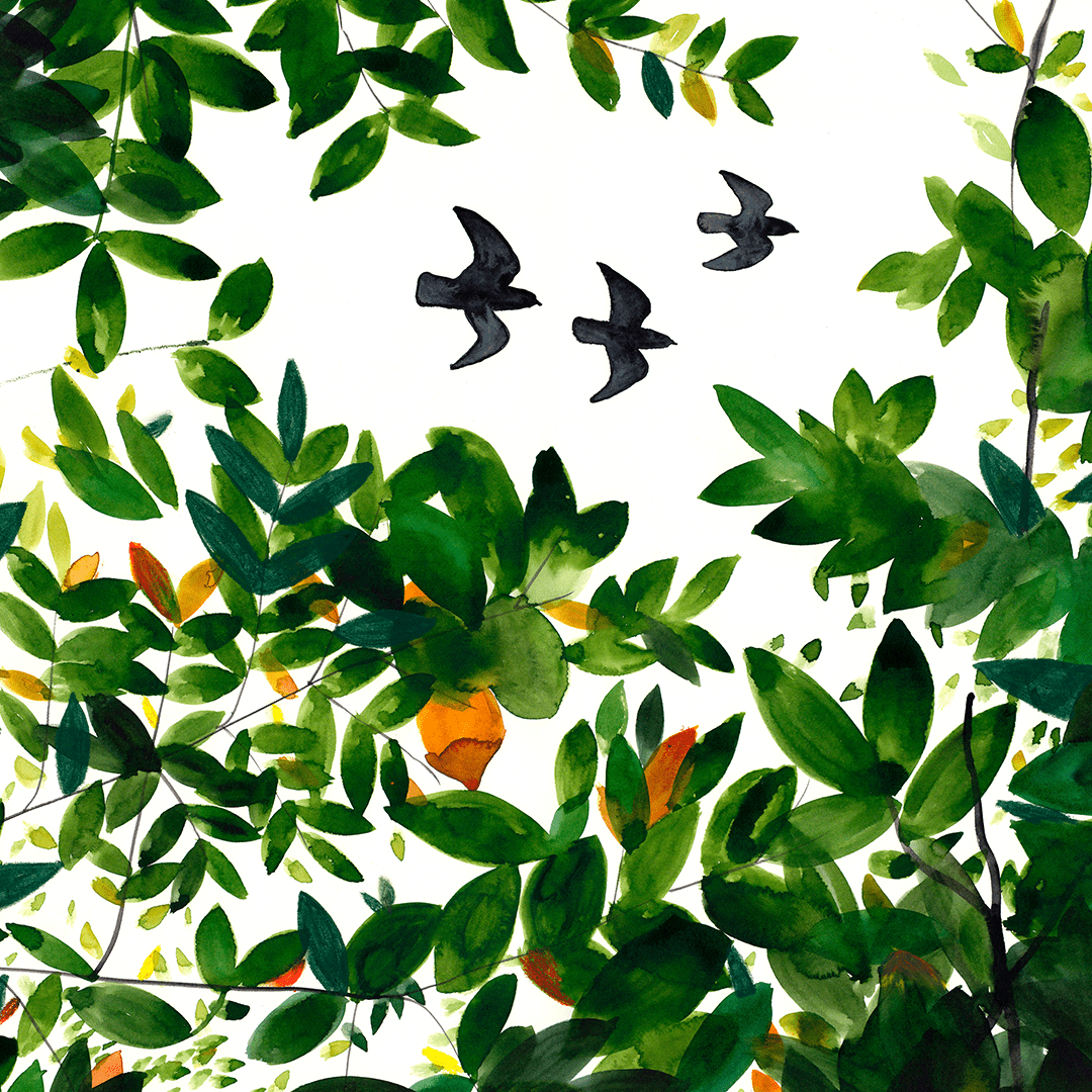 Tree Tops Impression Giclée