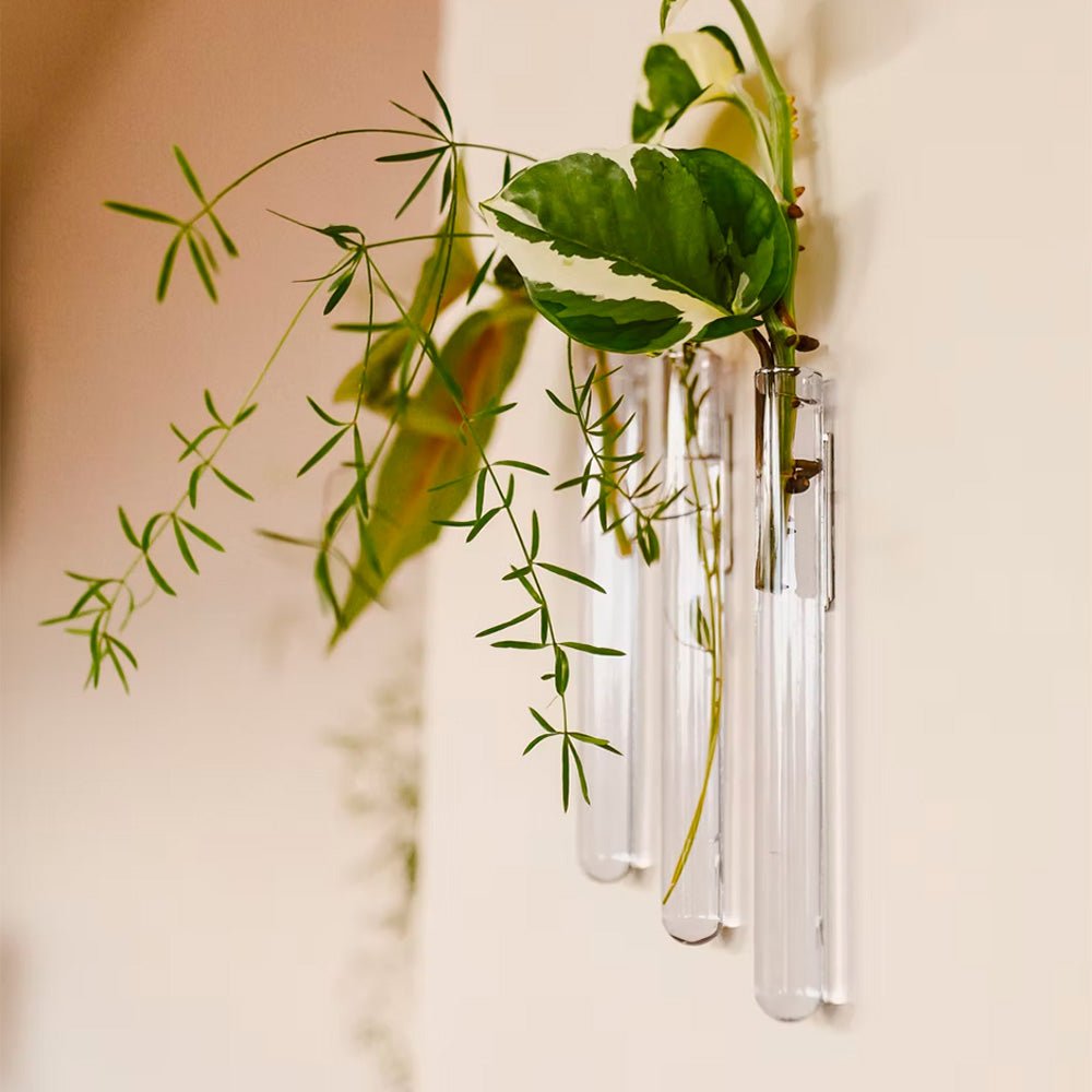 Walleaf Transparent (set of 3)