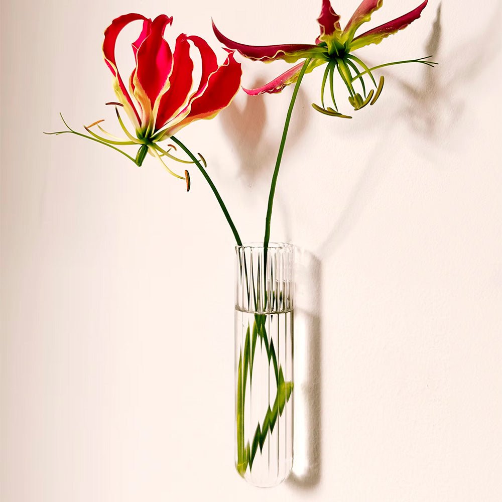 Walleaf XL Clear