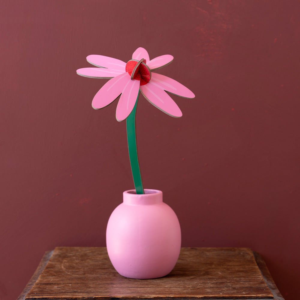 Small Everlasting Flowers - Pink Coneflower