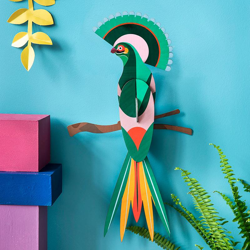 Paradise Bird - Gili