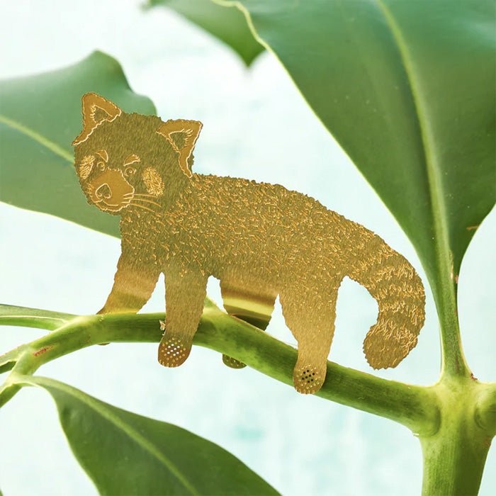 Animal pour les plantes Panda roux 